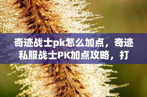 奇迹战士pk怎么加点，奇迹私服战士PK加点攻略，打造无敌战士