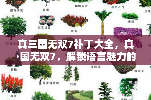 真三国无双7补丁大全图片