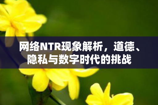 隐私与数字时代的挑战图片