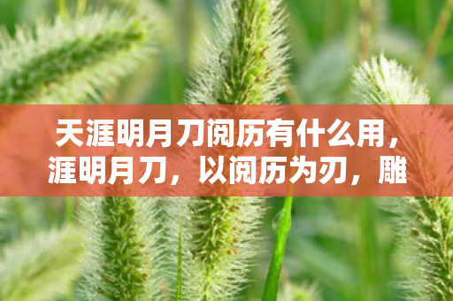 天涯明月刀阅历有什么用图片