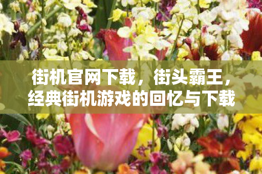 街机官网下载,街头霸王,经典街机游戏的回忆与下载指南 街机官网下载,街头霸王,经典街机游戏的回忆与下载指南