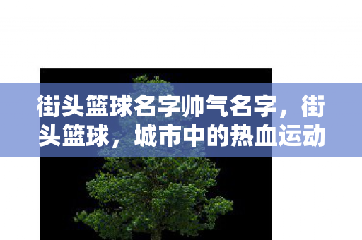 街头篮球名字帅气名字图片