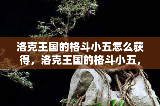 洛克王国的格斗小五怎么获得图片