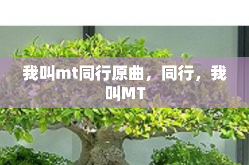 我叫mt同行原曲图片