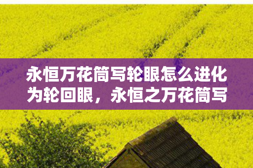 永恒万花筒写轮眼怎么进化为轮回眼图片