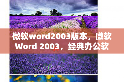 微软word2003版本图片