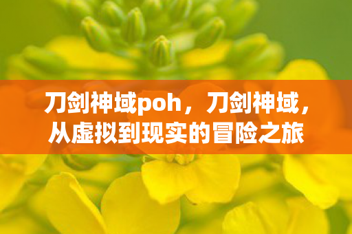 从虚拟到现实的冒险之旅图片