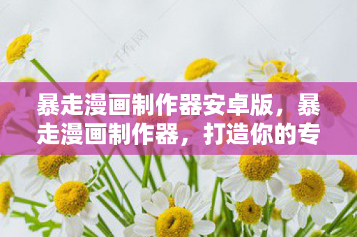 打造你的专属搞笑短视频图片