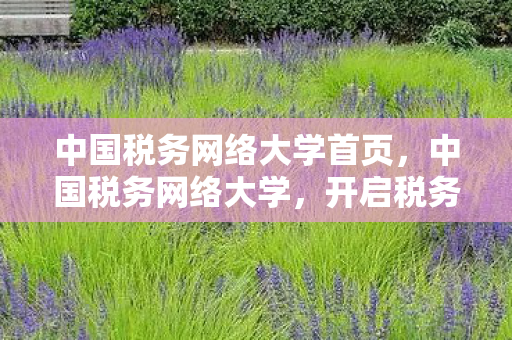 中国税务网络大学首页图片