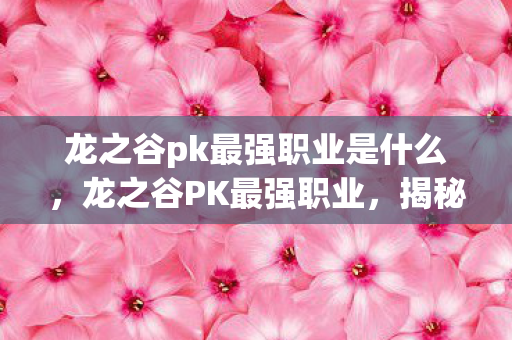 龙之谷pk最强职业是什么图片