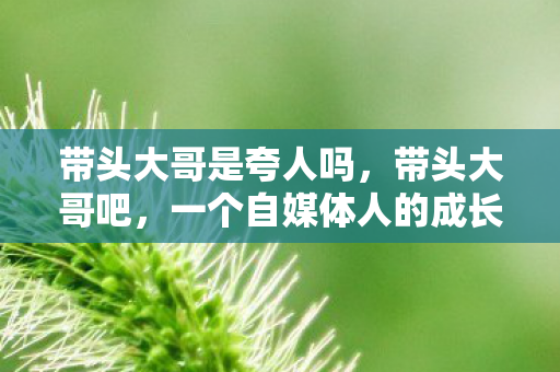 一个自媒体人的成长之路图片