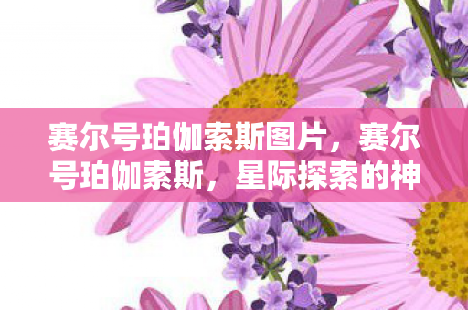 赛尔号珀伽索斯图片图片