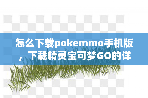 怎么下载pokemmo手机版，下载精灵宝可梦GO的详细步骤
