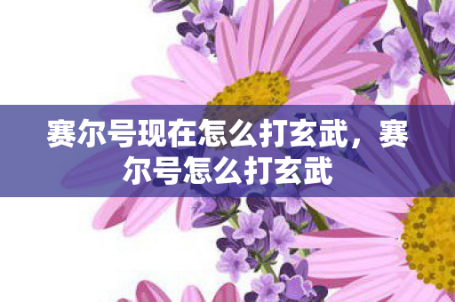 赛尔号现在怎么打玄武图片