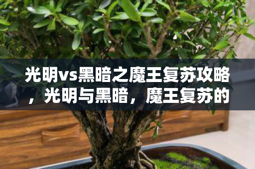 光明vs黑暗之魔王复苏攻略图片