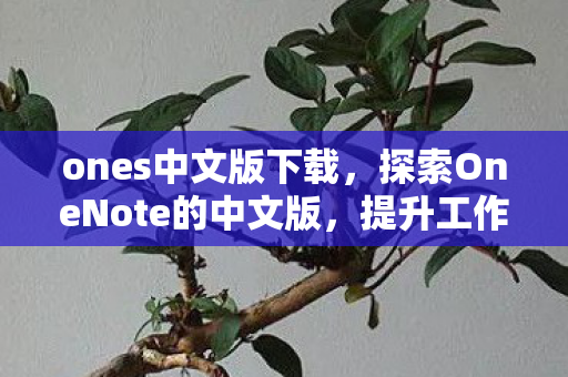 提升工作效率与创意表达的强大工具图片