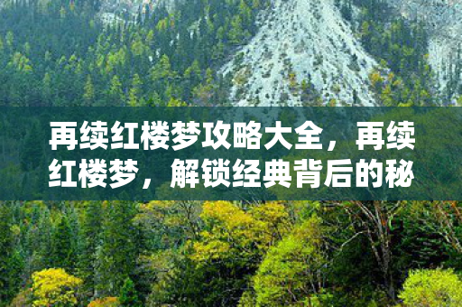 再续红楼梦攻略大全图片