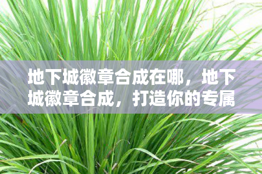 地下城徽章合成在哪图片