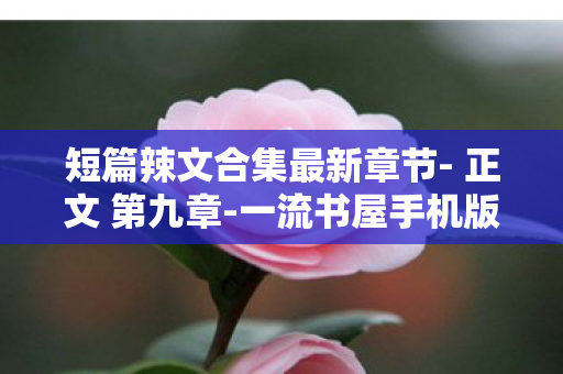 短篇辣文合集最新章节- 正文 第九章-一流书屋手机版，短篇辣文合集最新章节