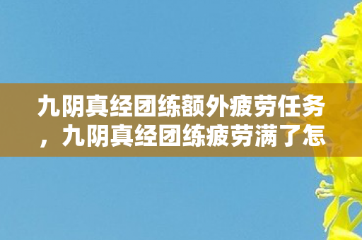 九阴真经团练疲劳满了怎么办图片