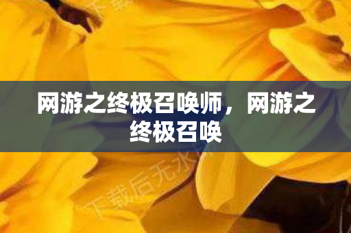 网游之终极召唤师图片