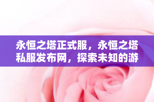 永恒之塔私服发布网图片