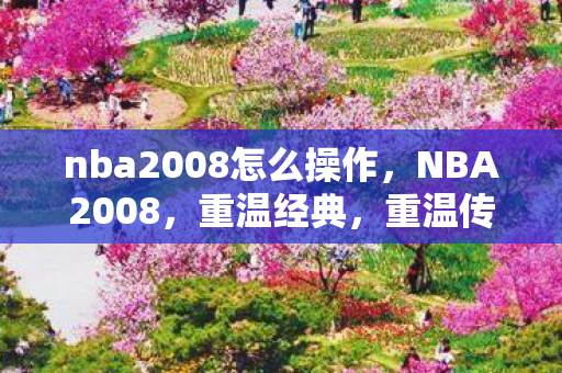 nba2008怎么操作图片