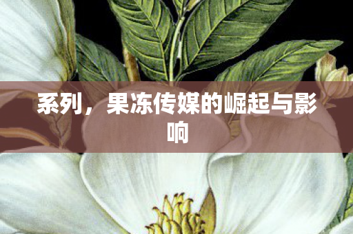 果冻传媒的崛起与影响图片