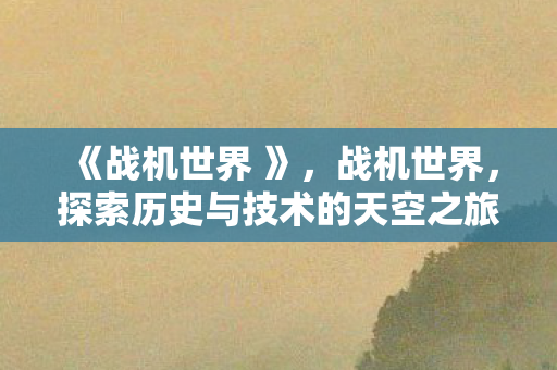 《战机世界 》，战机世界，探索历史与技术的天空之旅