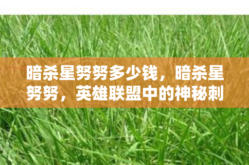 英雄联盟中的神秘刺客图片