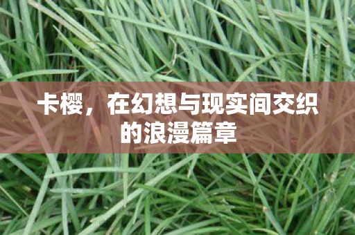 在幻想与现实间交织的浪漫篇章图片