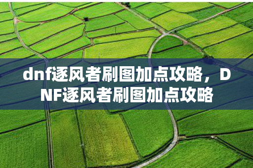 dnf逐风者刷图加点攻略图片