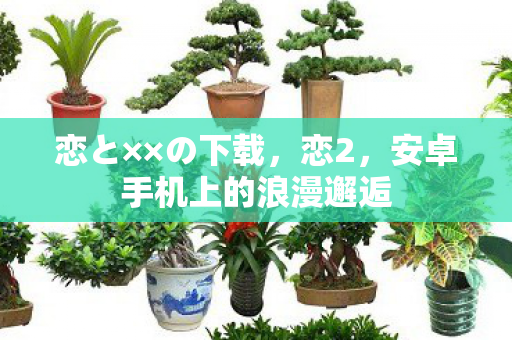 恋と××の下载，恋2，安卓手机上的浪漫邂逅