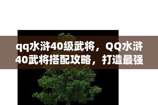 QQ水浒40武将搭配攻略图片