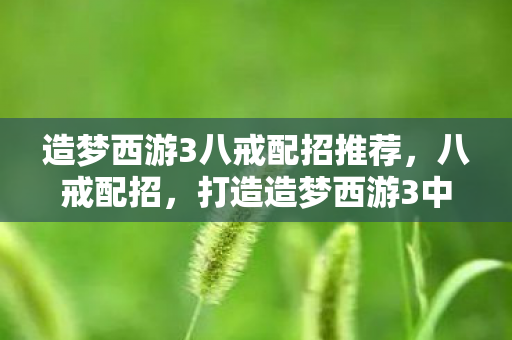 打造造梦西游3中的最强肉盾图片