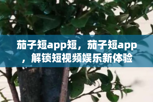 茄子短app短，茄子短app，解锁短视频娱乐新体验