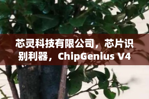 ChipGenius V4图片