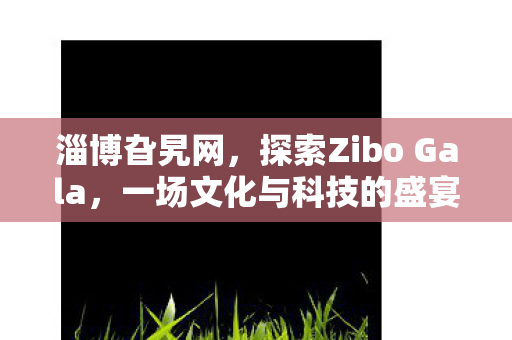 探索Zibo Gala图片