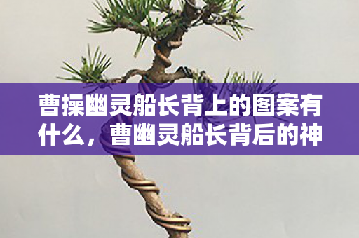 曹操幽灵船长背上的图案有什么图片