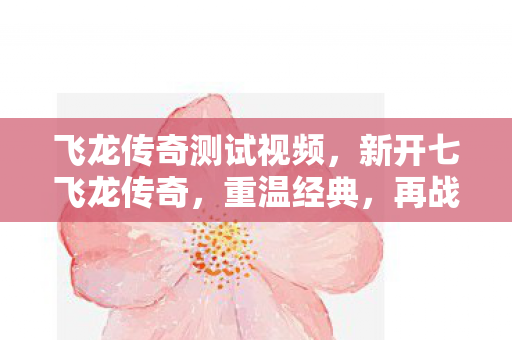 飞龙传奇测试视频图片