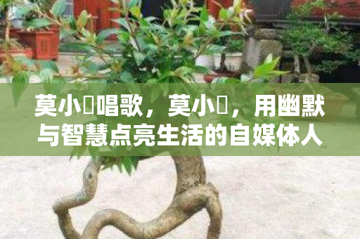 用幽默与智慧点亮生活的自媒体人图片