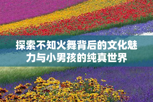 探索不知火舞背后的文化魅力与小男孩的纯真世界图片