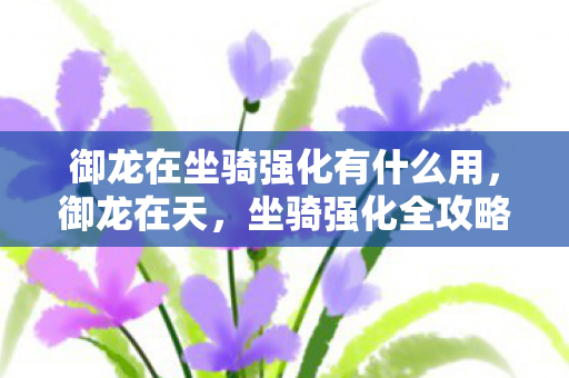 御龙在坐骑强化有什么用图片