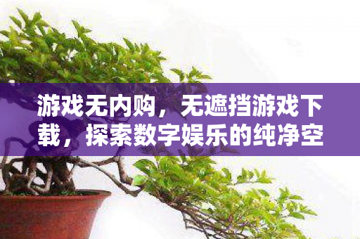 游戏无内购,无遮挡游戏下载,探索数字娱乐的纯净空间 游戏无内购,无遮挡游戏下载,探索数字娱乐的纯净空间