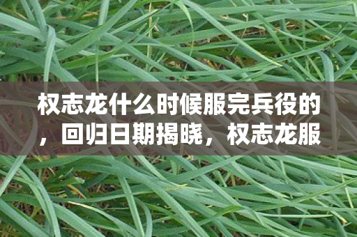 权志龙服兵役结束后的未来展望图片