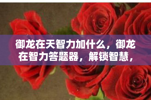 御龙在天智力加什么图片