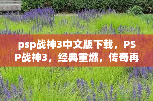 psp战神3中文版下载图片