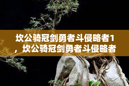 坎公骑冠剑勇者斗侵略者1图片