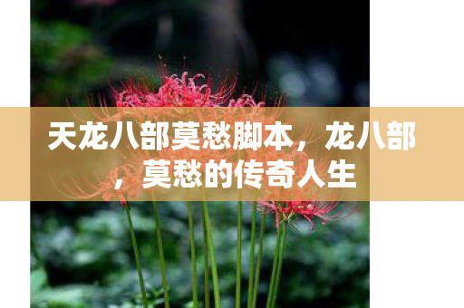 天龙八部莫愁脚本图片