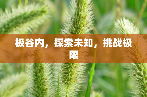 极谷内,探索未知,挑战极限 极谷内,探索未知,挑战极限